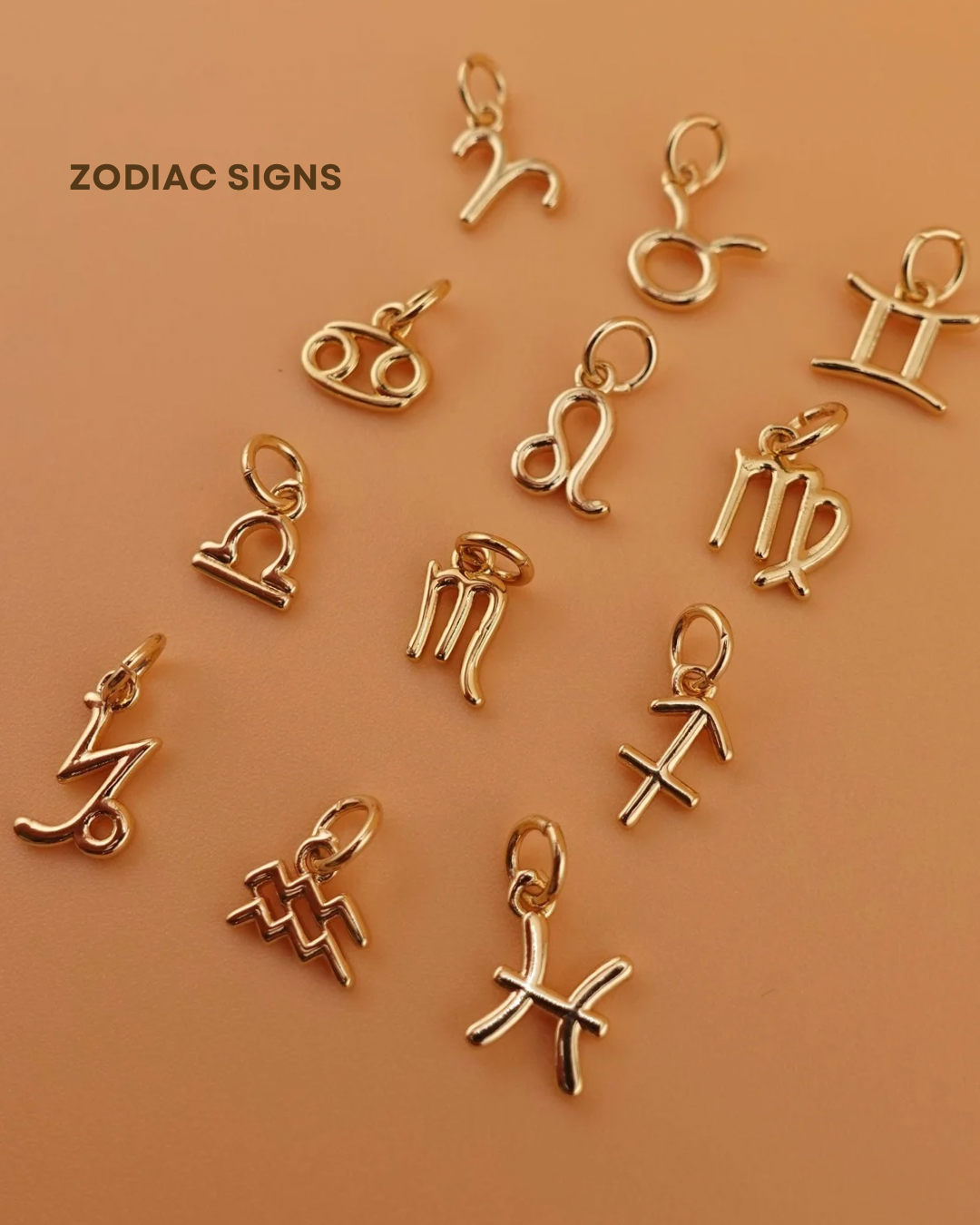 Zodiac Signs Lockets