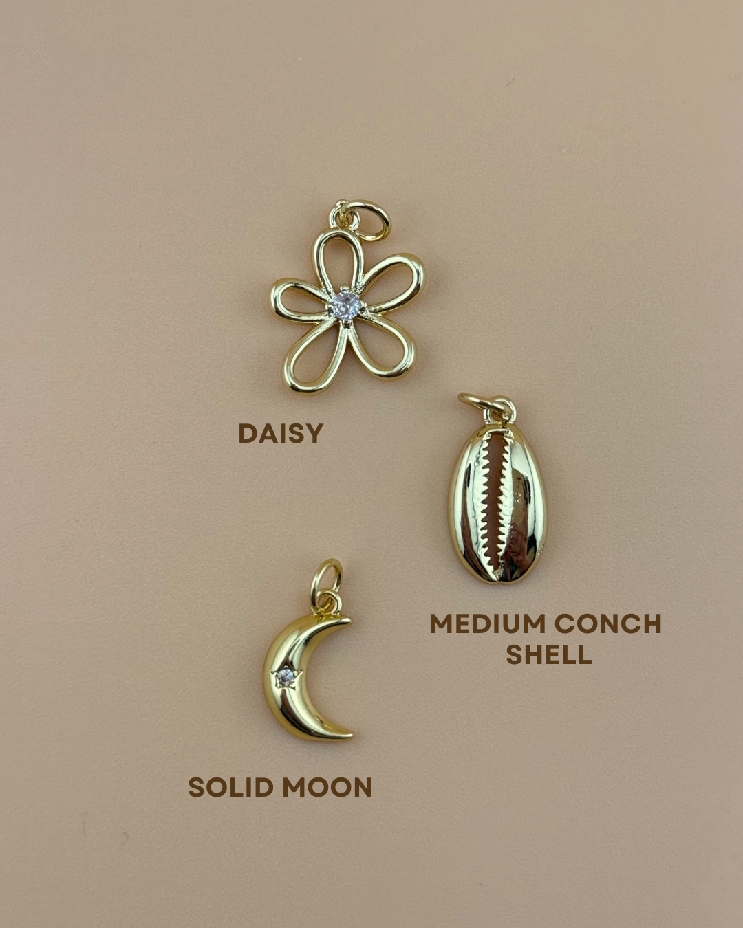 Daisy Shell and Moon Locket